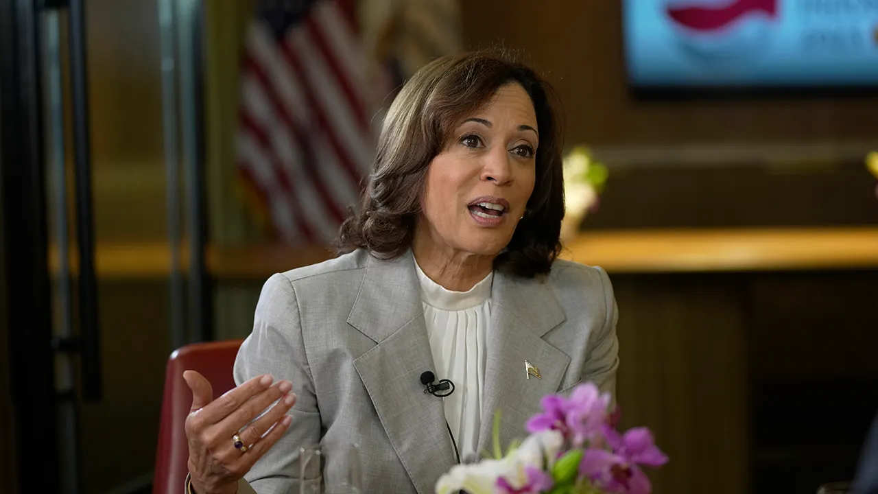 Harris says she's ready to step into role of president if Biden is unwell: 'May have to take over'