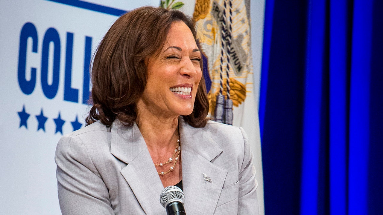 Harris claims ‘climate anxiety’ has young people doubting the ‘sense’ of having children, buying home