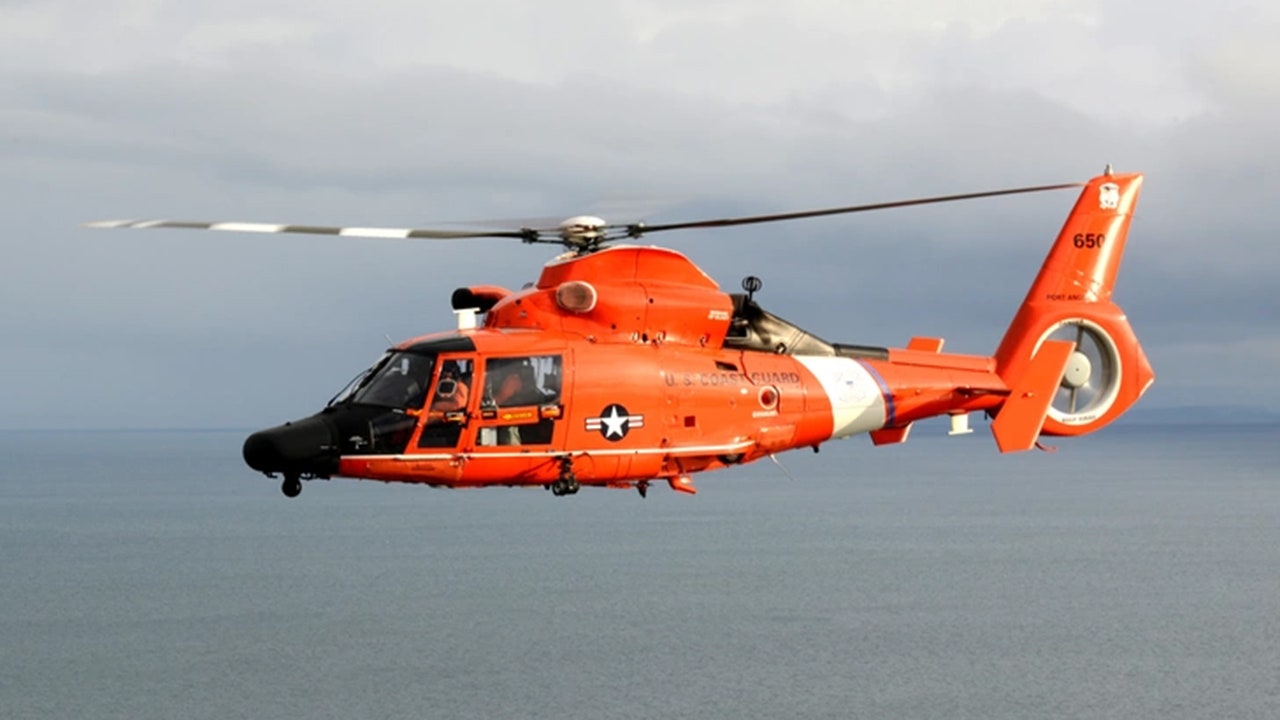 Coast Guard rescues 12 after cargo ship runs aground near Virgin Islands