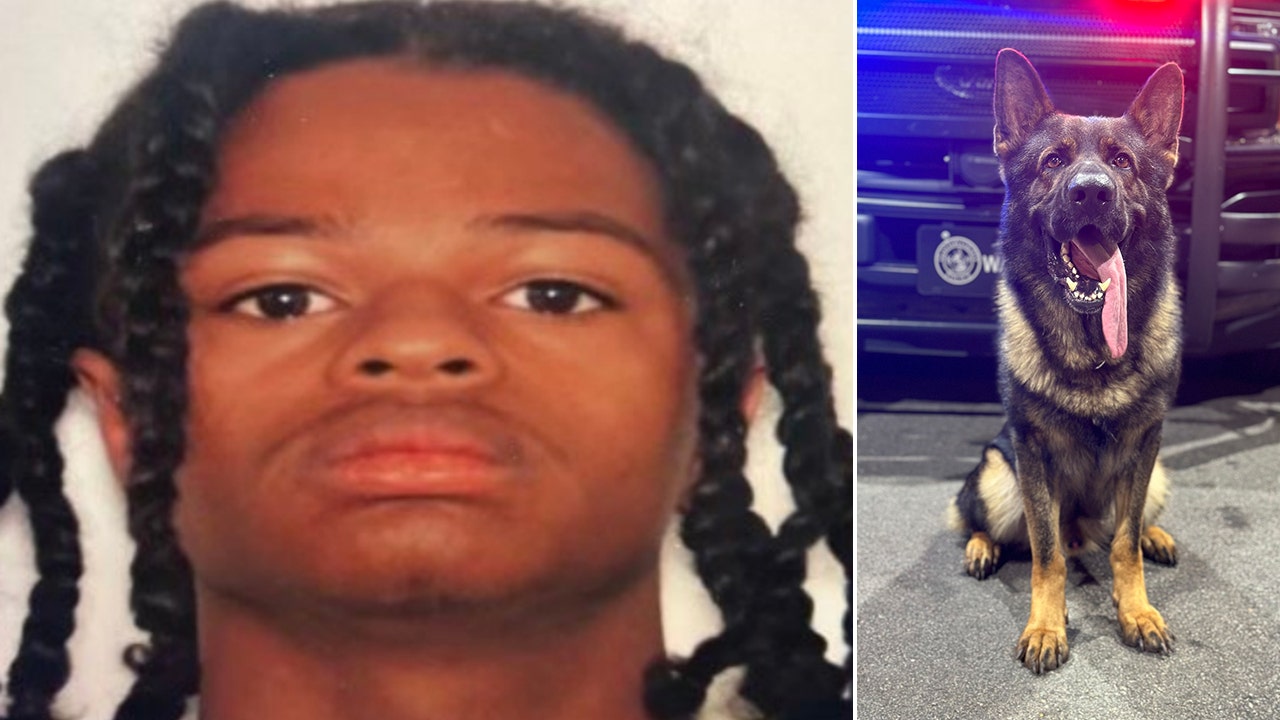 Georgia Suspect 17 Killed After Fatally Shooting Police K 9 Authorities Say Fox News