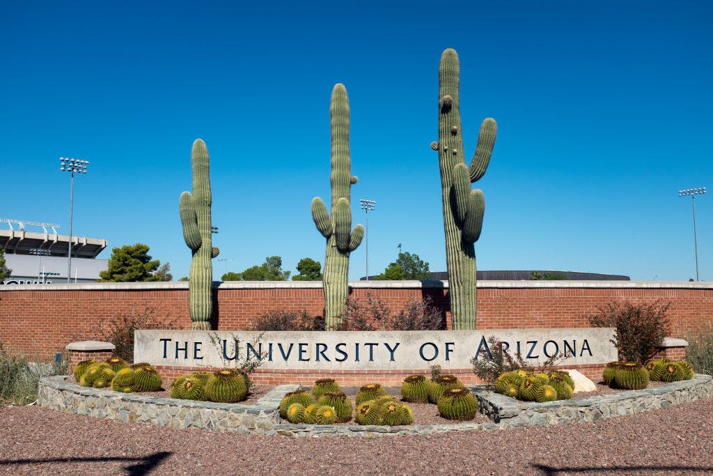 Read more about the article University of Arizona police forced to deploy ‘chemical munitions’ to break up anti-Israel riot