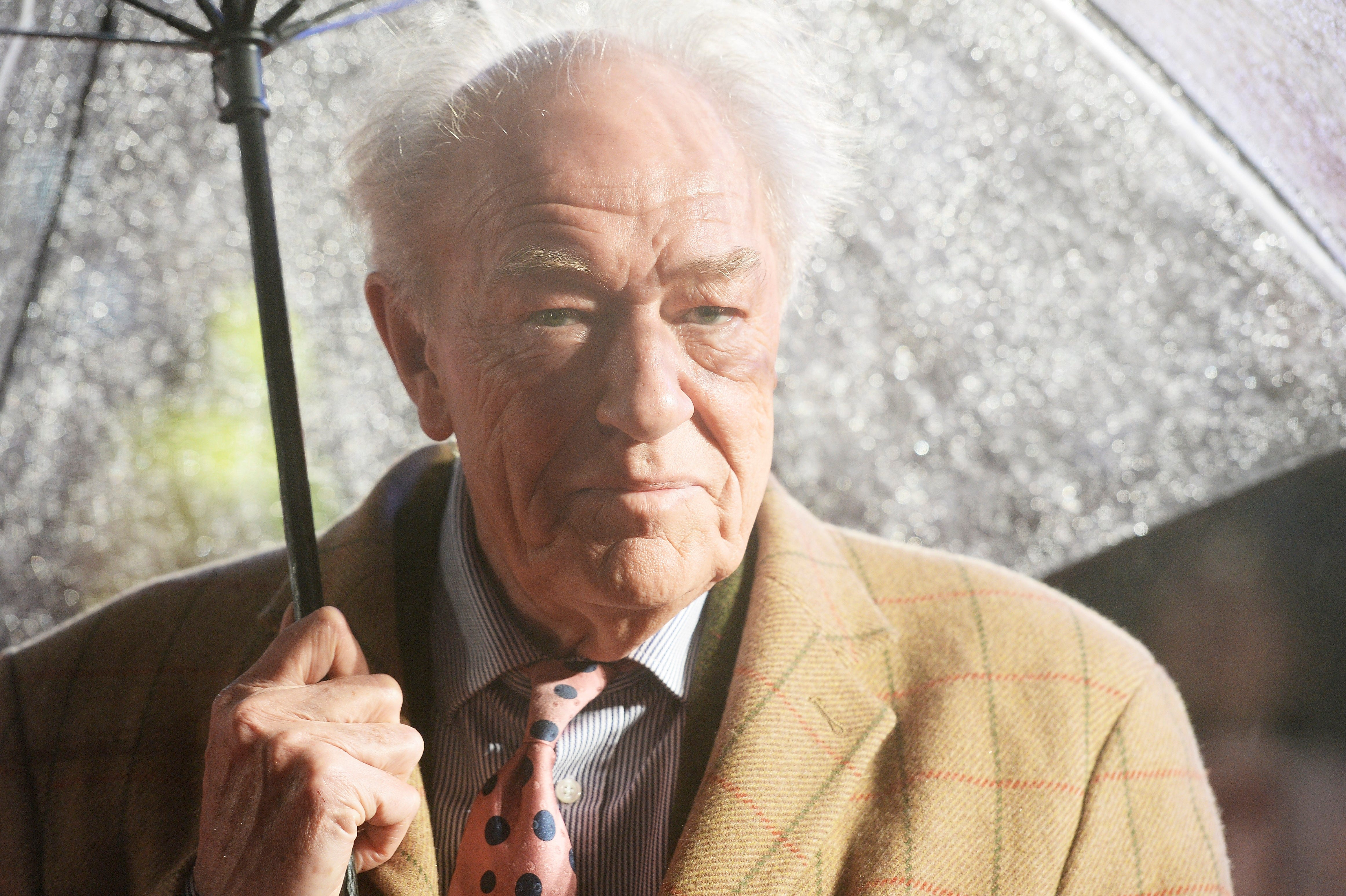 Michael Gambon, 'Harry Potter' actor, dead at 82