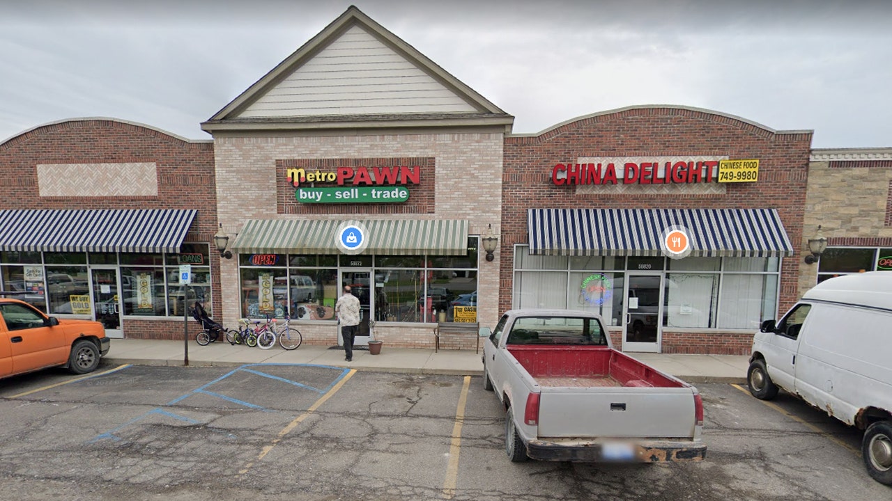 Canadian wearing wetsuit and fins swims to Michigan, steals handgun from pawn shop: authorities