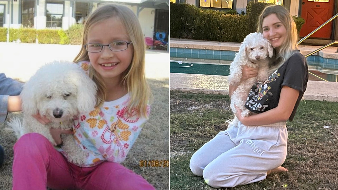 Arizona dog returns to family after going missing for 12 years: 'Was like a new puppy again'