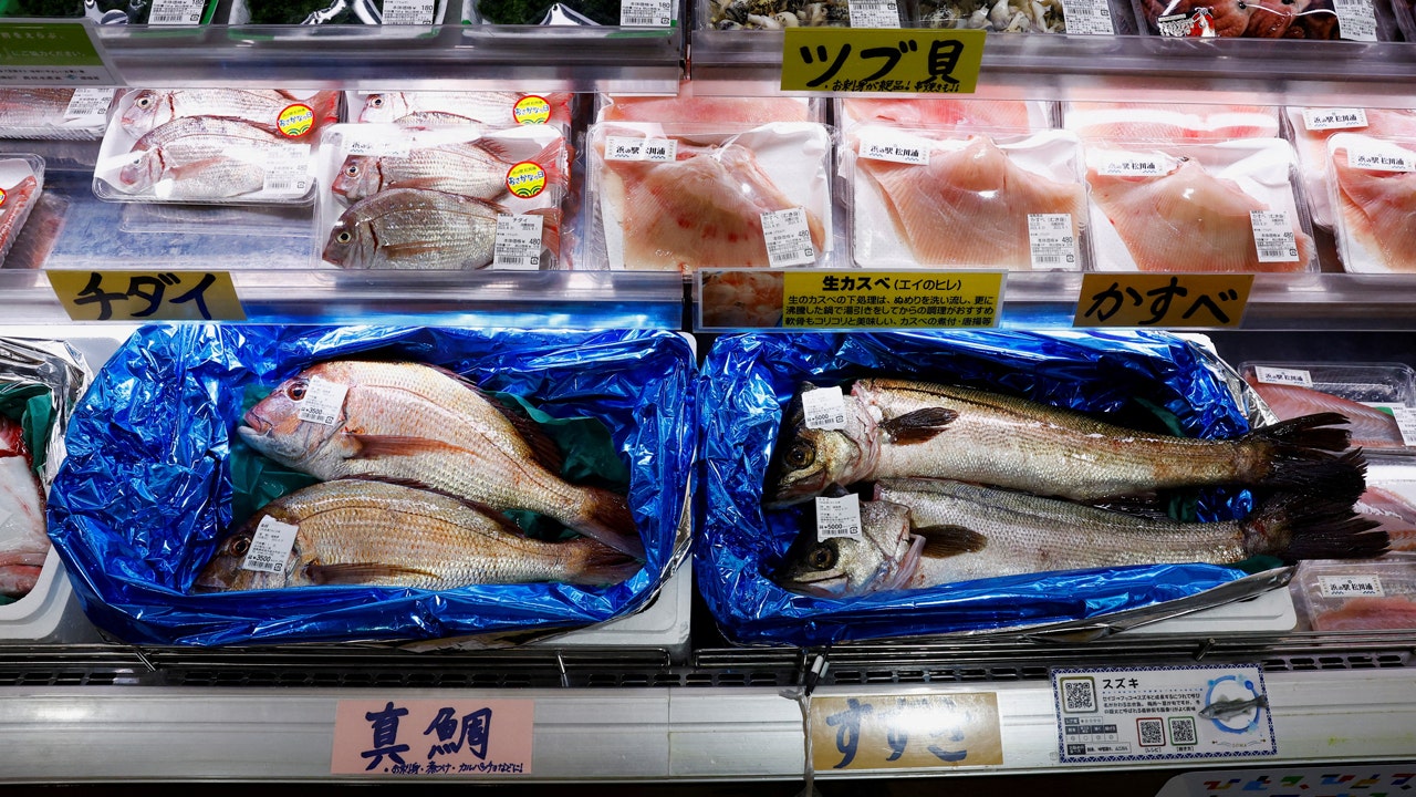 Russia weighs ban on Japanese seafood imports over Fukushima water release