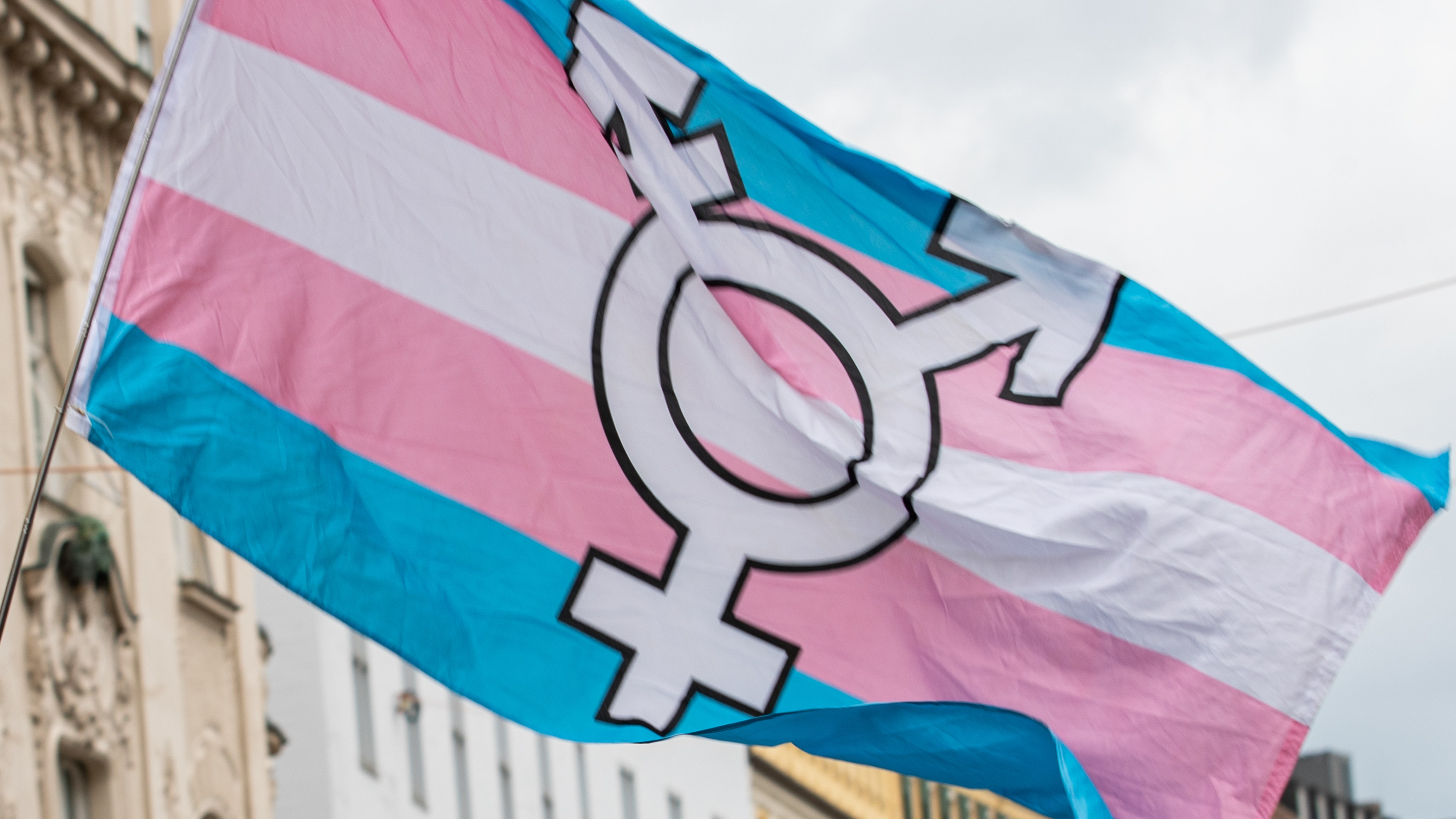 Read more about the article New Hampshire Senate passes bill that would prohibit trans athletes’ inclusion with gender identity