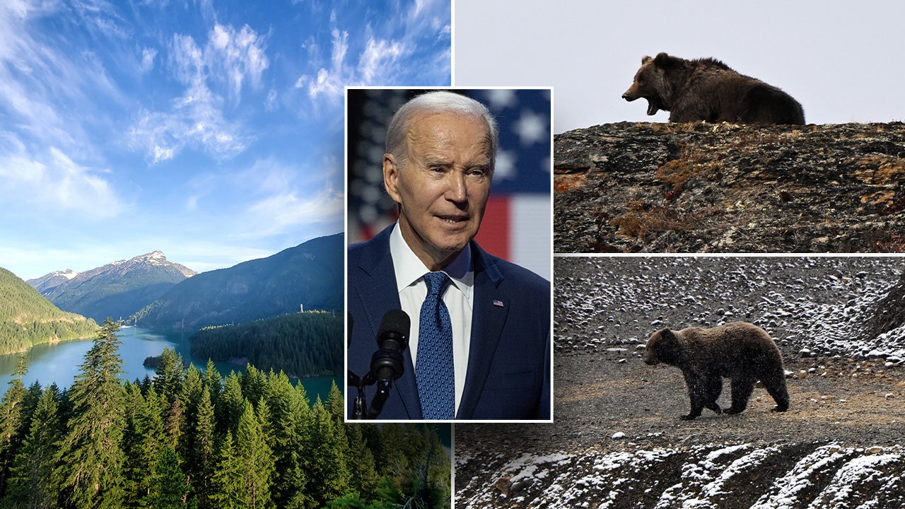 Biden admin wants 200 grizzlys in North Cascades Nat'l Park