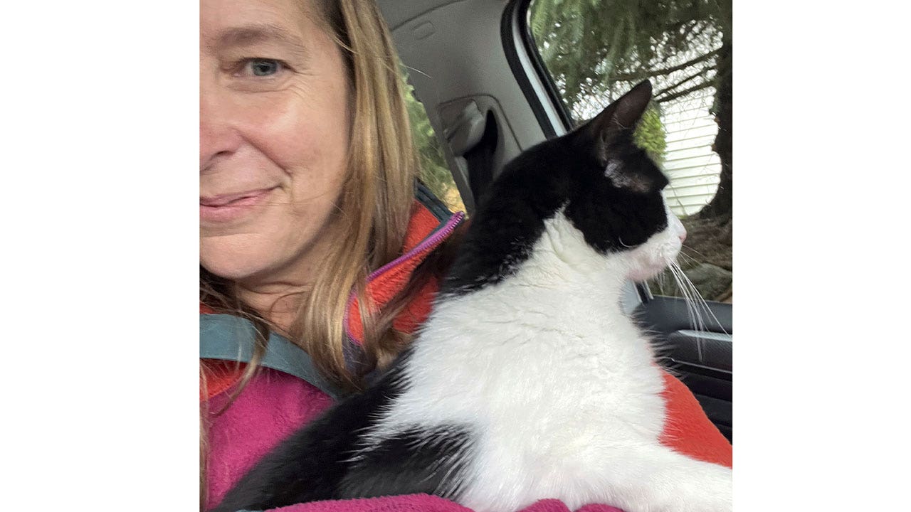Cat reunited with Alaskan couple 26 days after home collapses into flood-swollen river