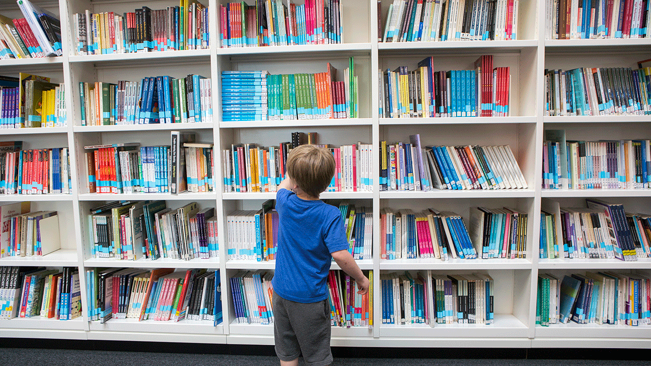 Child in a library