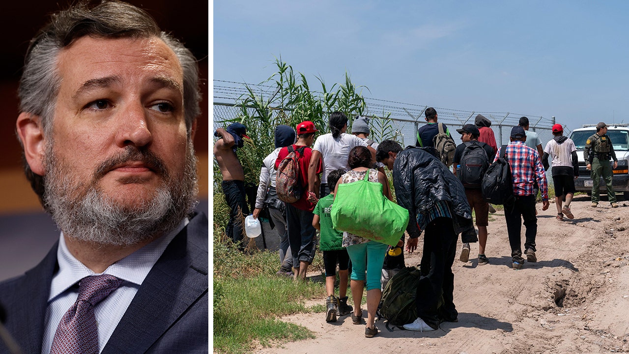 Cruz leads Senate push for House-passed bill to overhaul border security, tackle migrant crisis