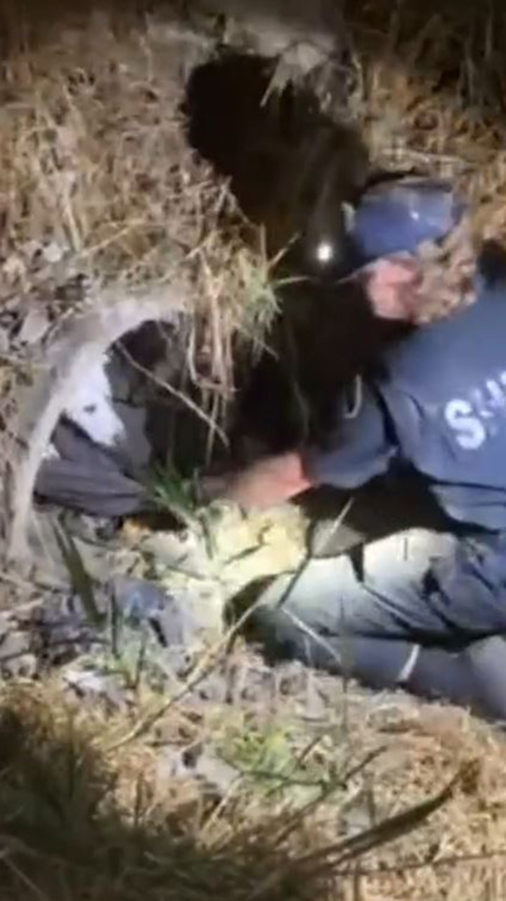 Washington deputy crawls into pipe to rescue injured dog