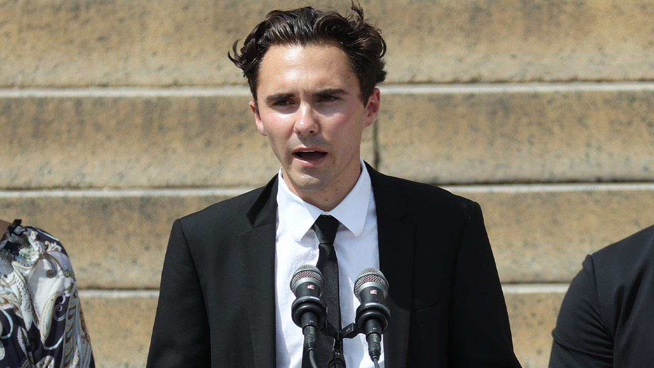 Former DNC Vice Chair David Hogg claims Democratic moderates 'don't have the right values'