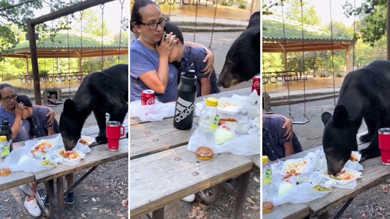 Mexican mother shields son from bear crashing birthday party, devouring tacos on picnic table