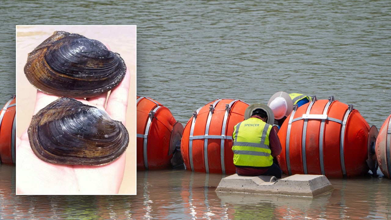 GOP grills Biden admin on 'highly suspicious' endangered mussel decision that might halt border buoys