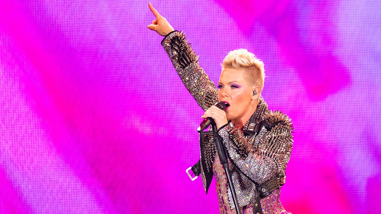 Singer Pink cancels multiple shows due to a family emergency. (Scott Legato/WireImage/Getty Images)