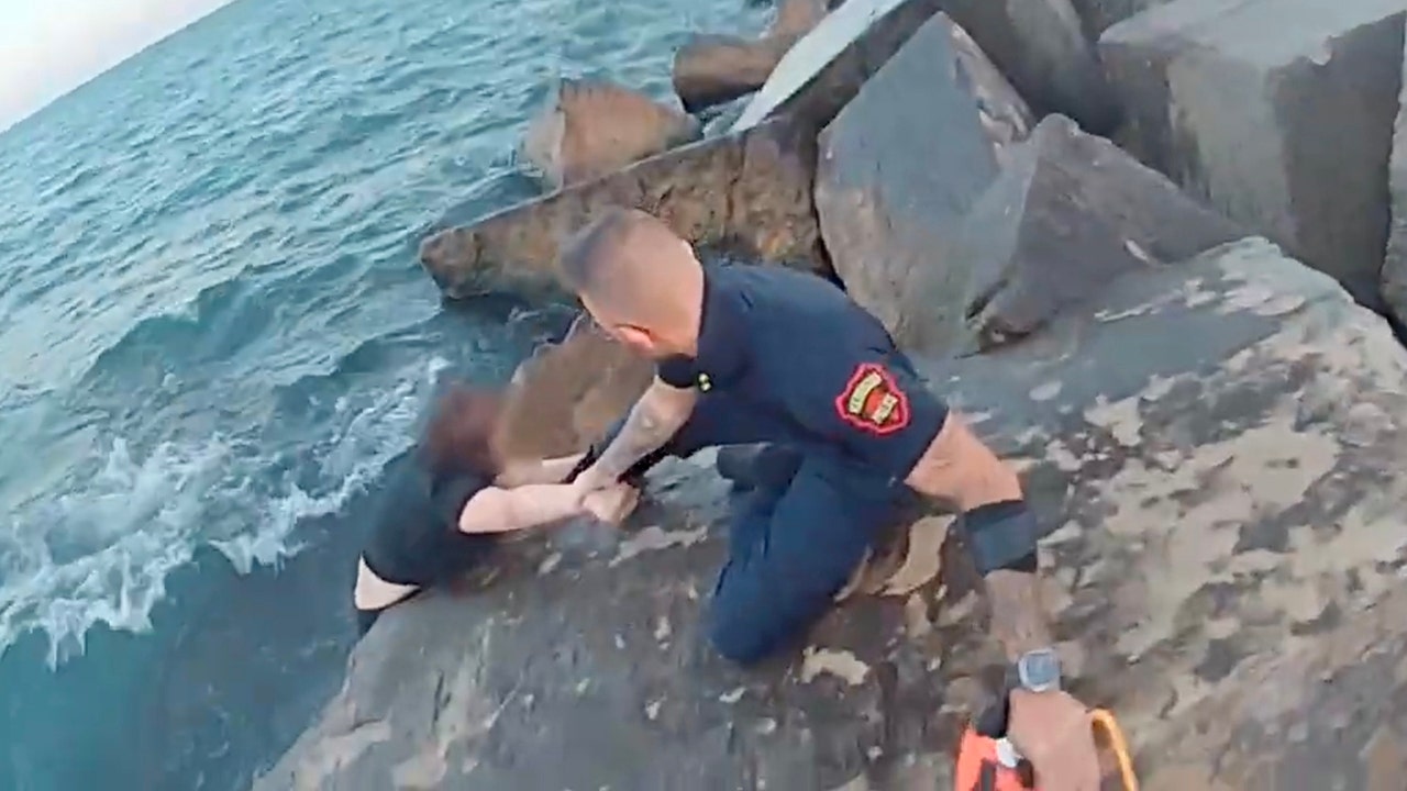 Wisconsin police officers rescue young woman who screamed 'I wanna die!' in Lake Michigan