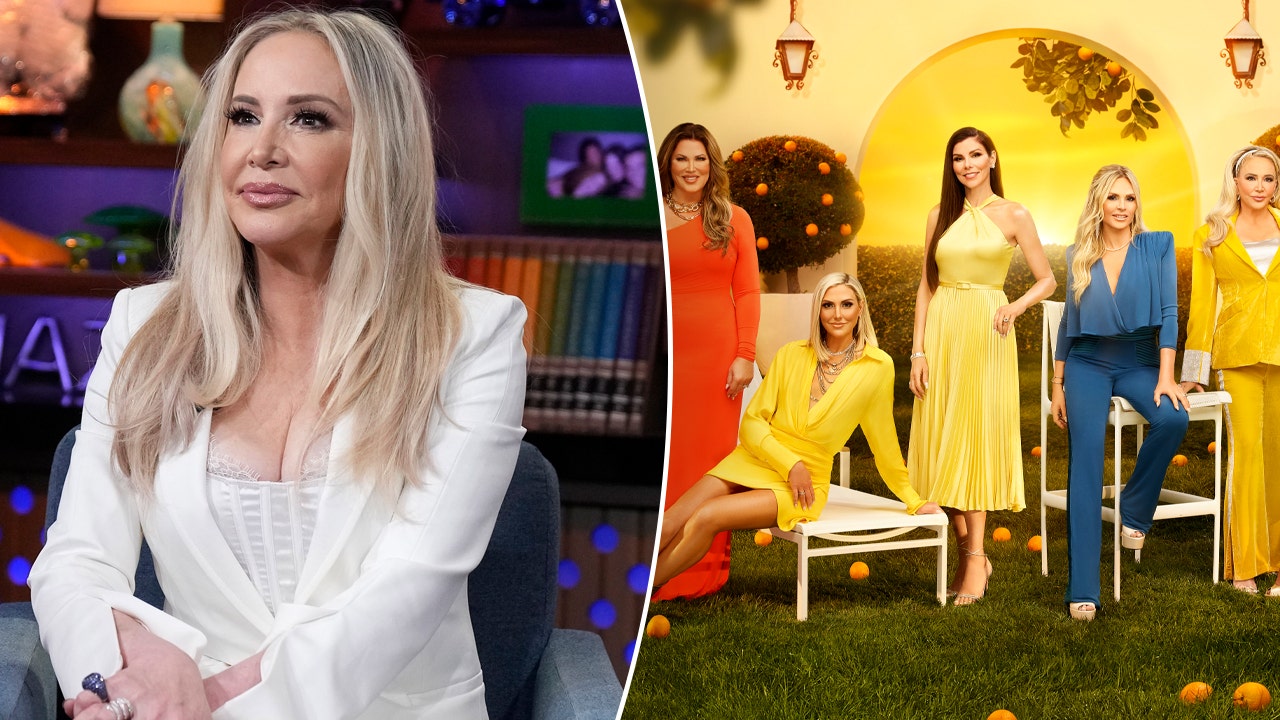 Shannon Beador's arrest: Rule-breaking 'Real Housewives' and their crimes
