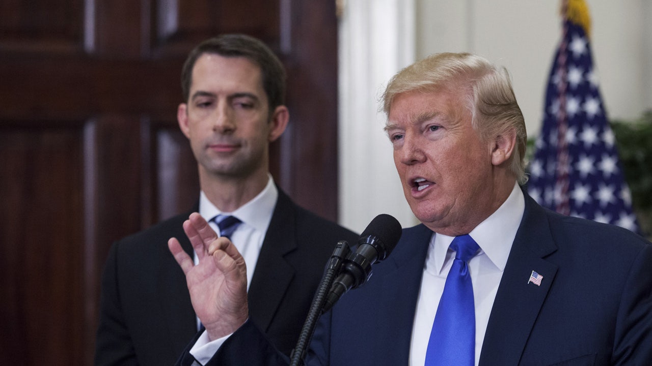 Read more about the article Israel-Hamas war would ‘probably already been over’ if Trump were president, Sen. Tom Cotton says