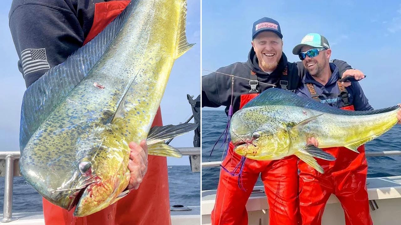 Washington fisherman catches massive record-breaking mahi mahi: 'Prayed for that'