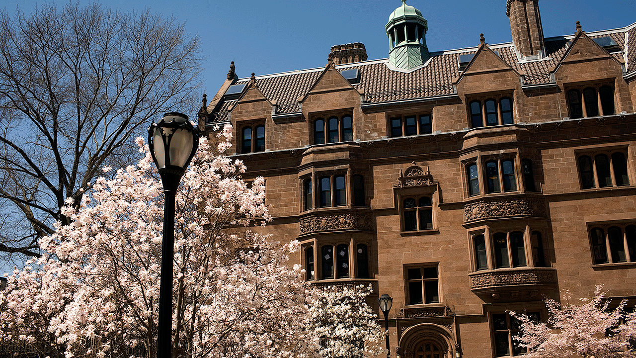 Universidade de Yale 