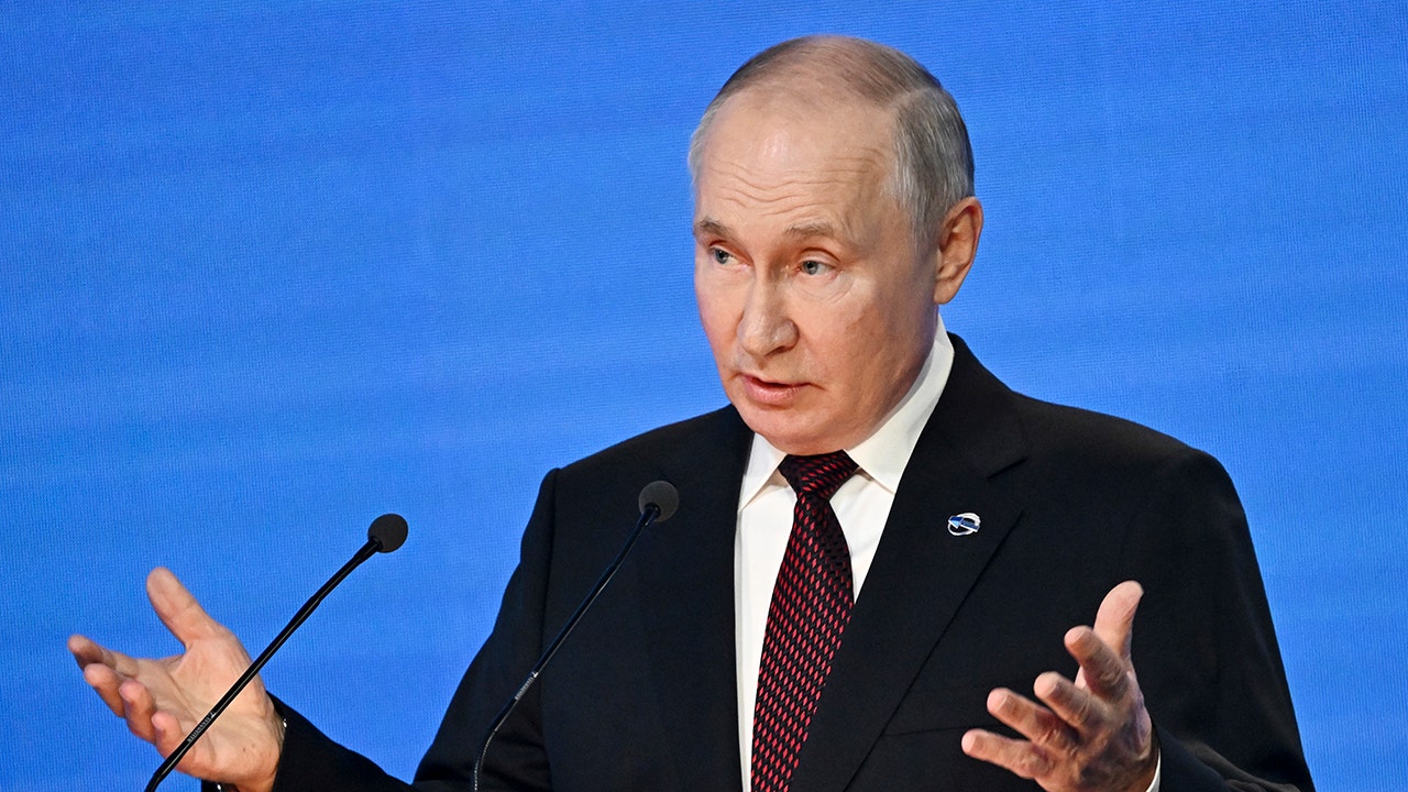 Putin suggests adding India, other countries to UN Security Council