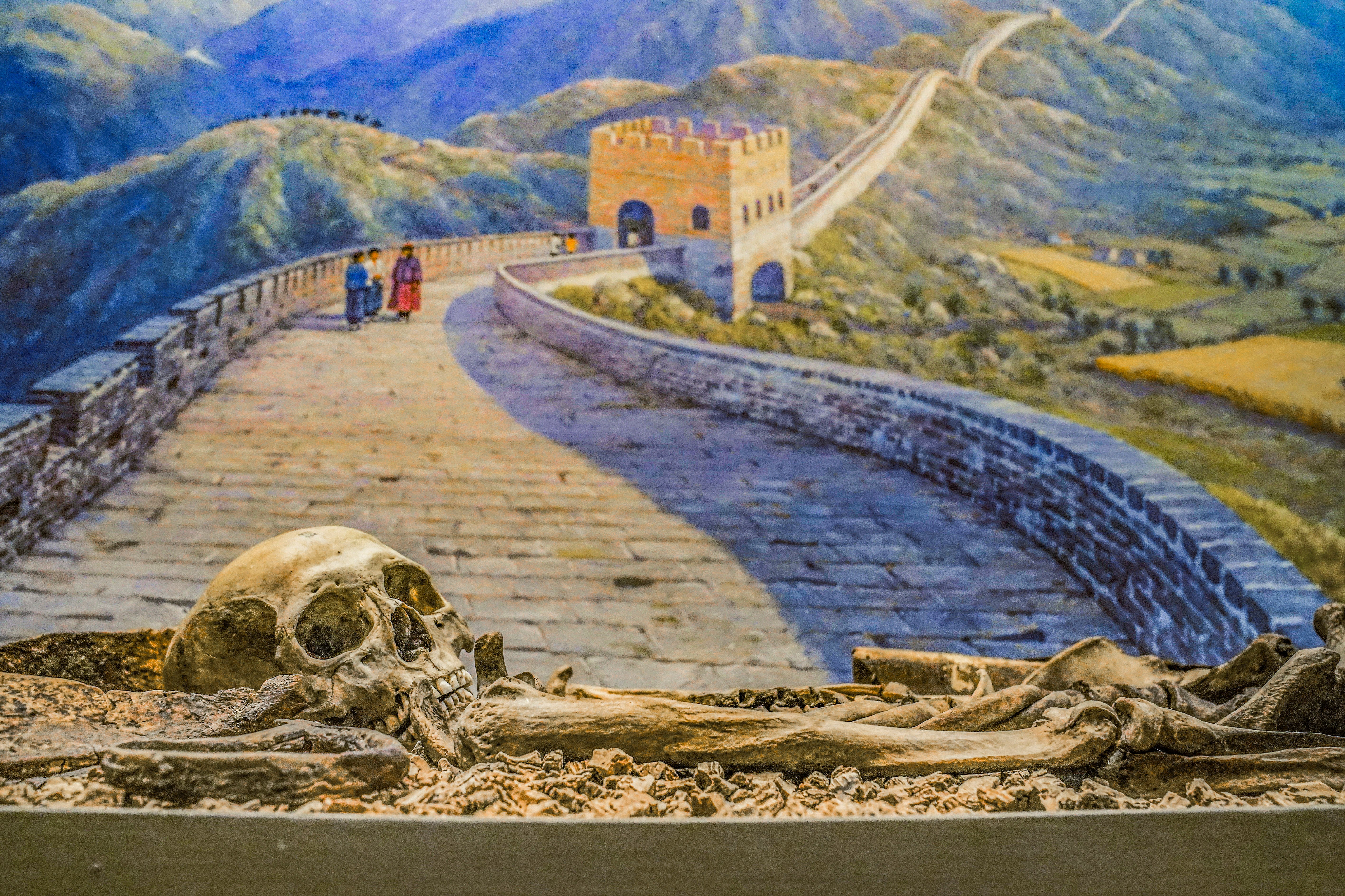 NYC's Museum of Natural History to pull human remains from public display
