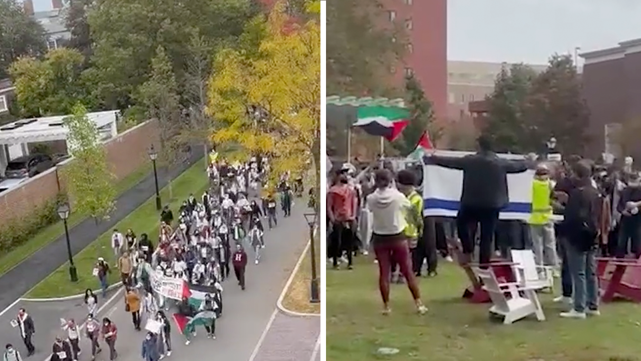 Video shows altercation at pro-Palestine 'die-in' at Harvard