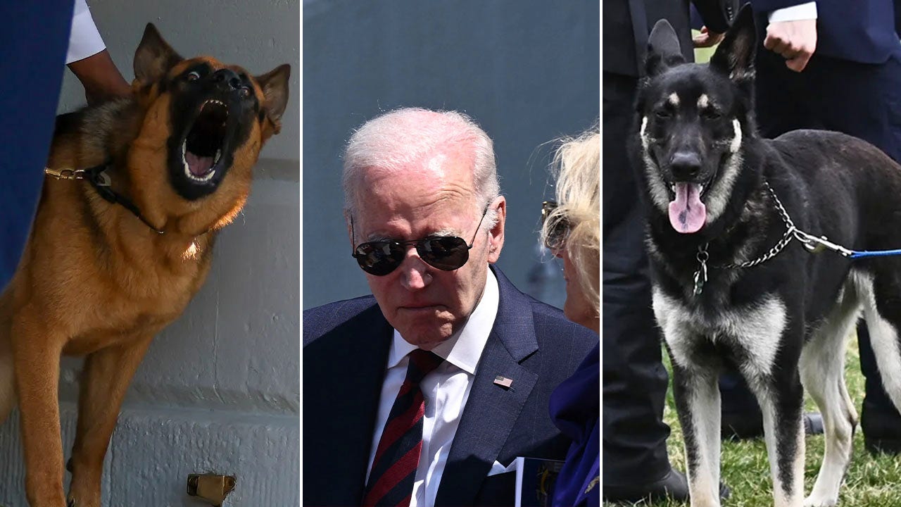 Biden’s dogs revealed to have bitten White House staff, causing