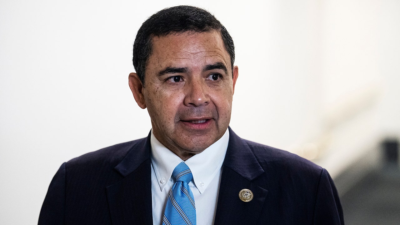 Read more about the article Rep. Cuellar of TX indicted by DOJ: sources