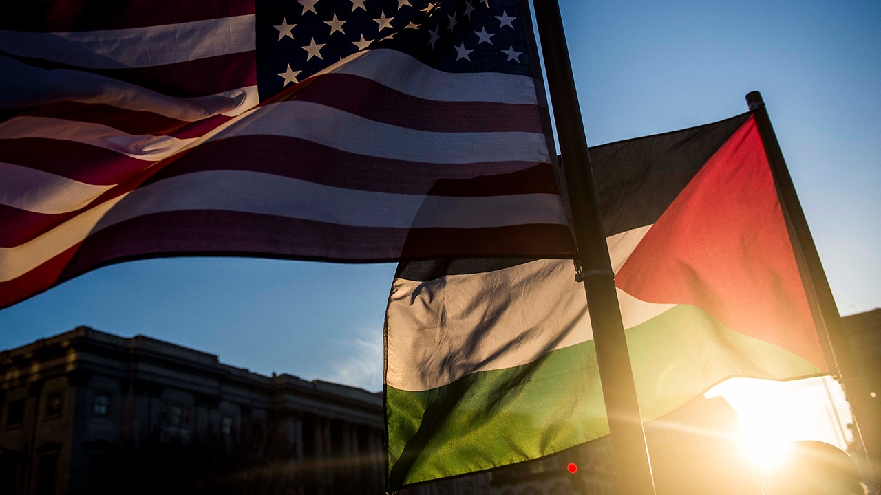 Democrats support Palestinians over Israel, GOP overwhelmingly stands with US ally: 2023 poll