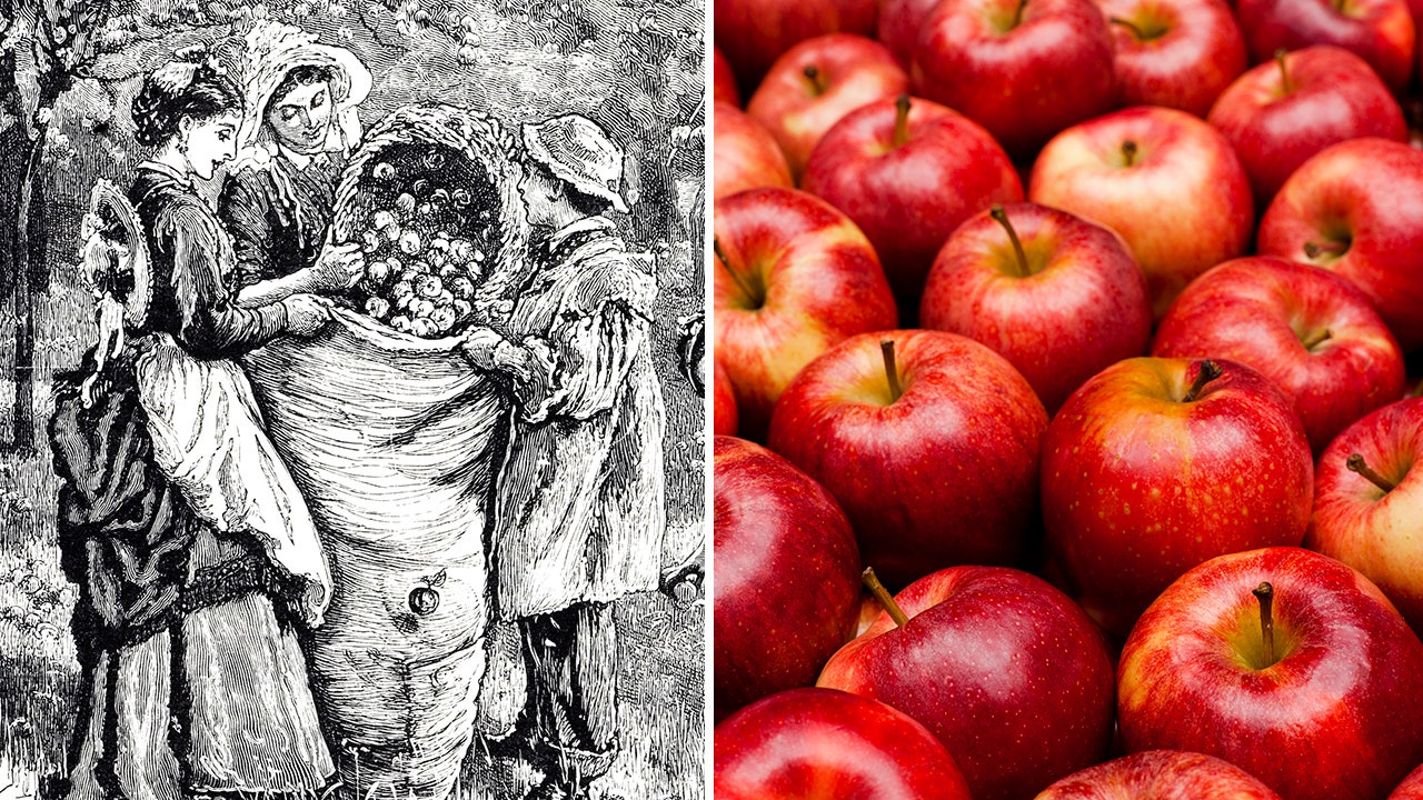 Red-fleshed: The science behind an uncommon apple breed - Fruit Growers News