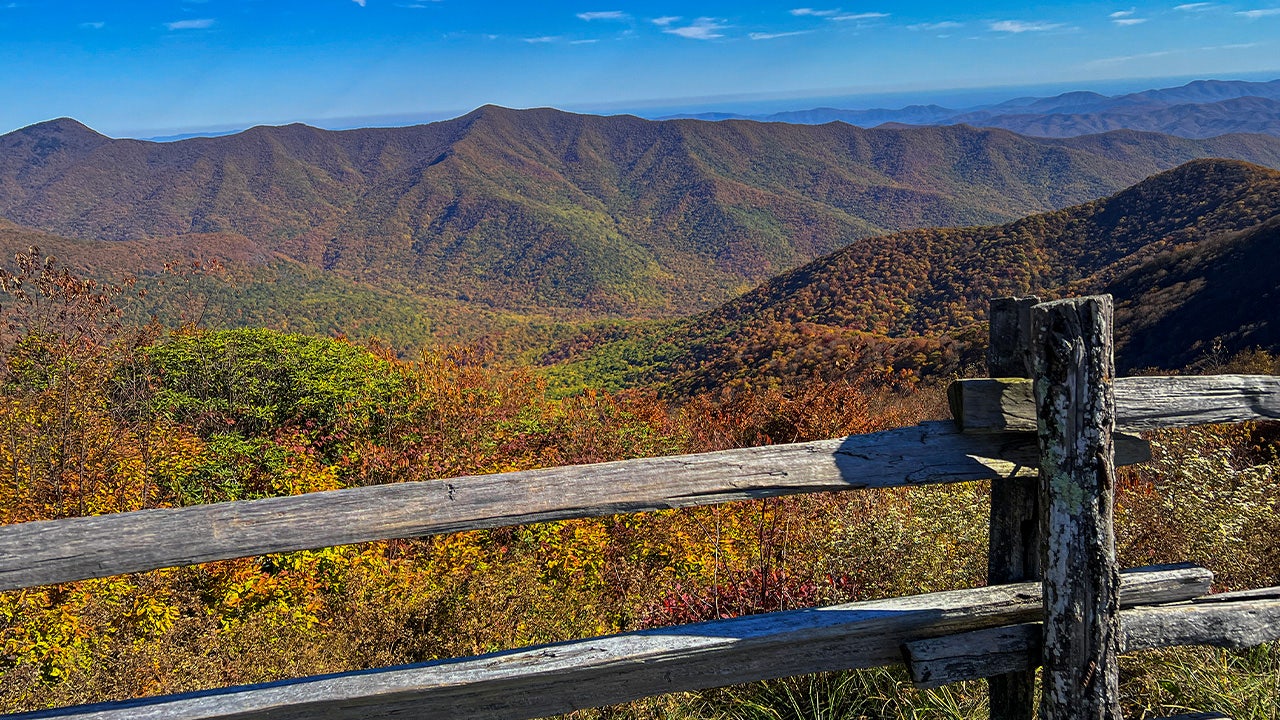 Section of North Carolina’s Blue Ridge Parkway closed after visitors interacted with bears