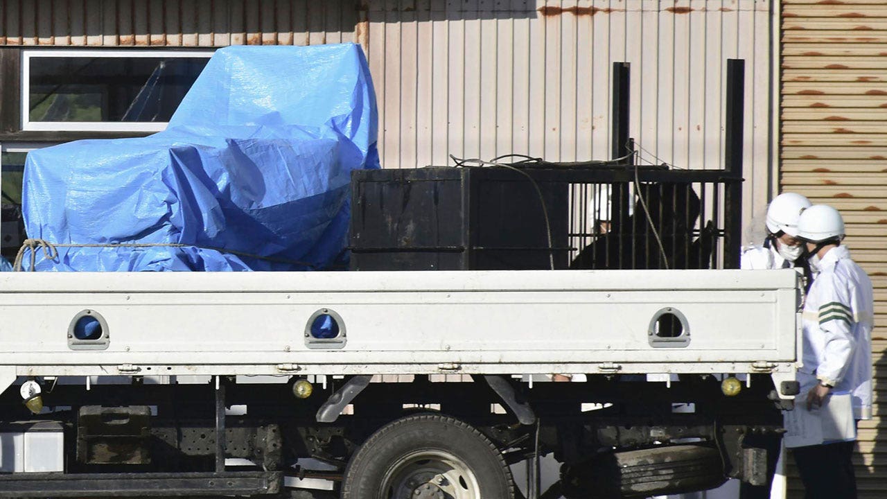 3 bears captured and killed in Japan after sneaking into factory