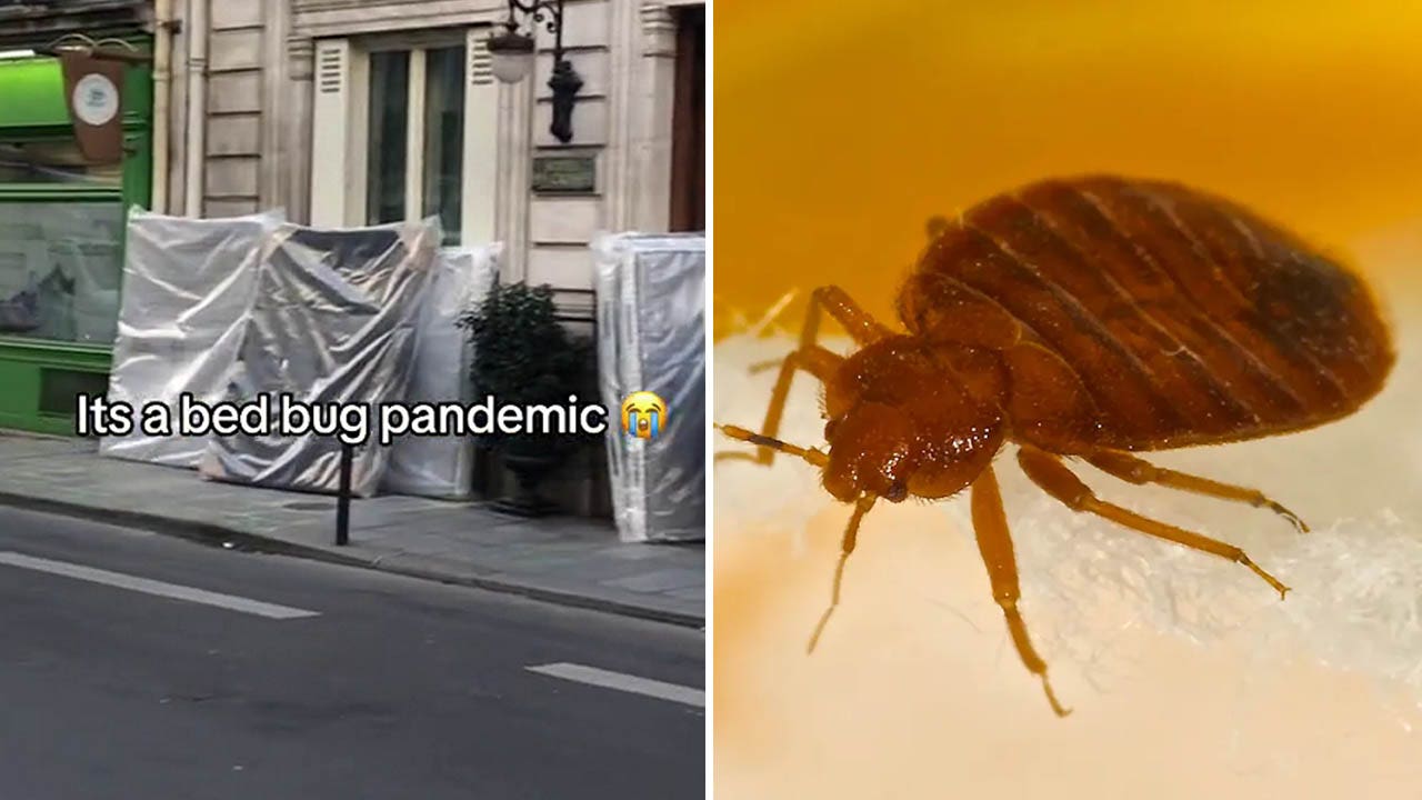 Amid bedbud infestation, shocking video shows a street in Paris littered with old mattresses