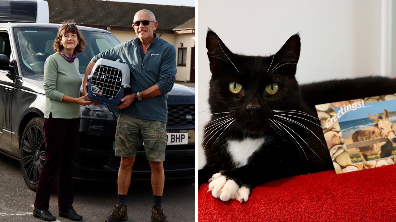 Family trip goes awry when neighbor’s cat secretly joins their 300-mile street vacation