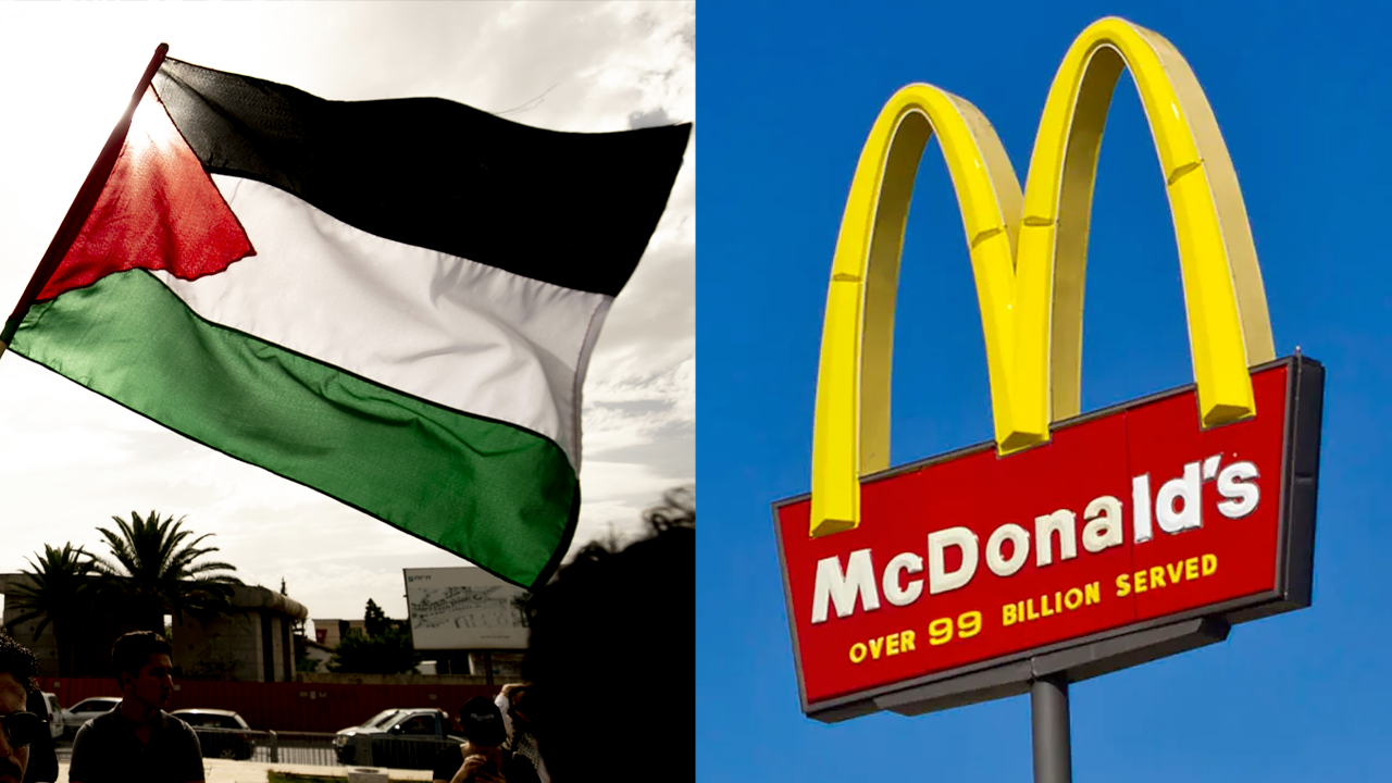 Protester dumps box of mice painted in Palestinian flag colors into McDonald's restaurant