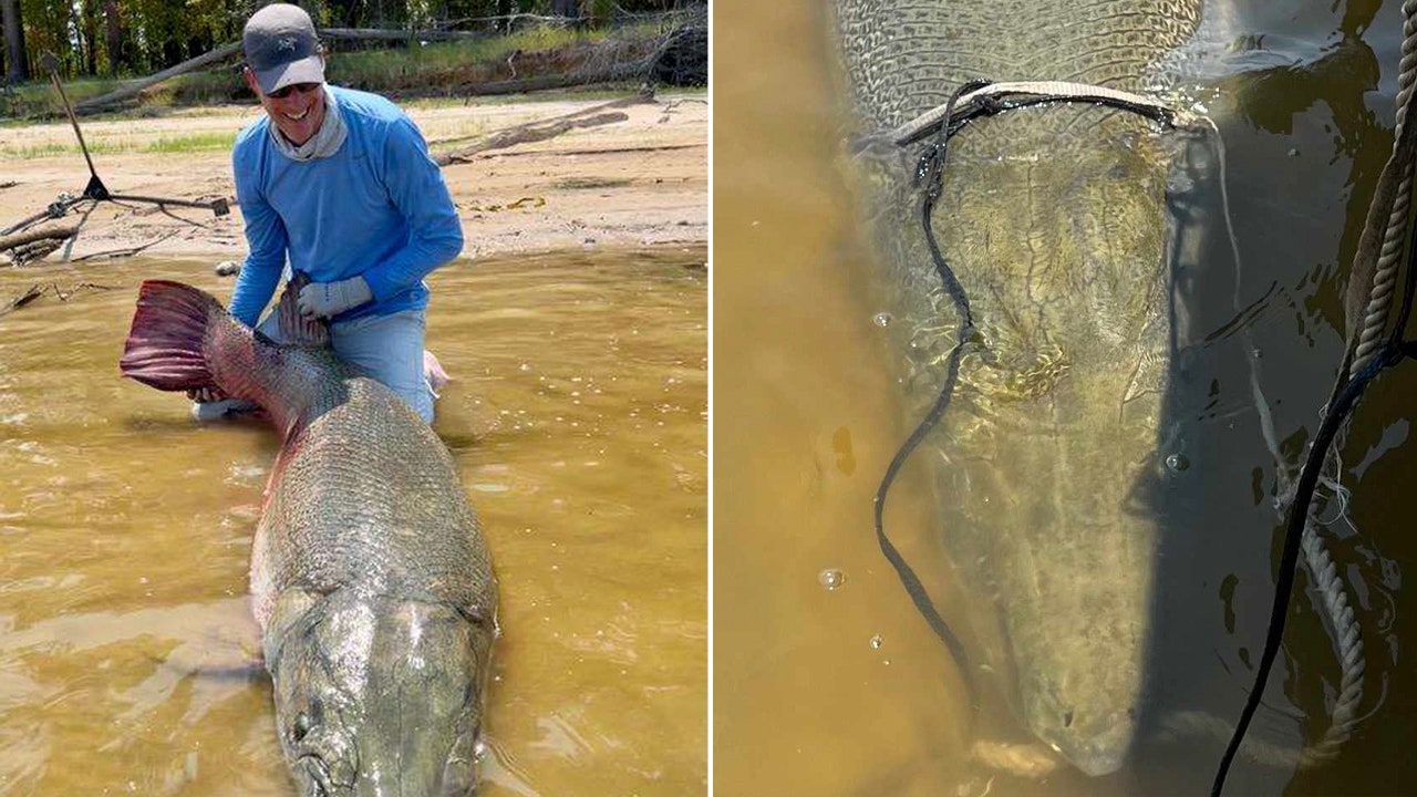 Monster' 283-pound alligator gar caught in Texas could set two fishing  records