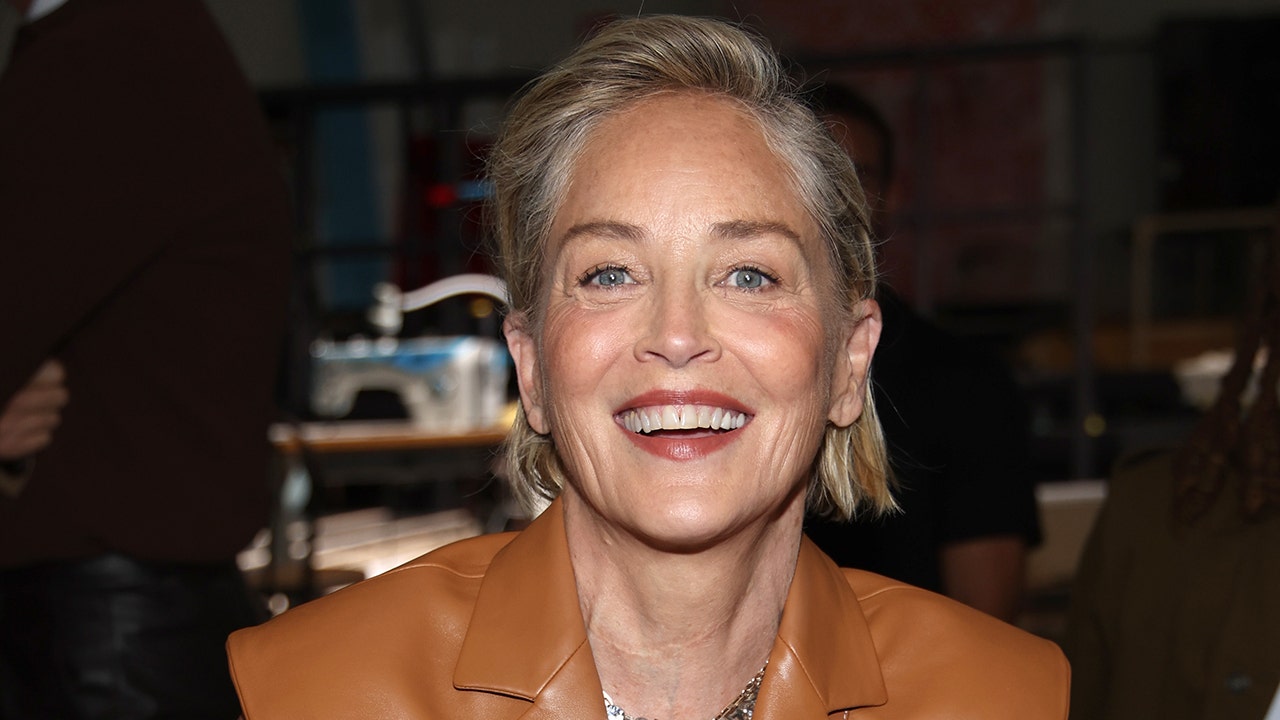 Sharon Stone requires 8 hours of 'uninterrupted sleep' to avoid 'seizures' after near-death health incident