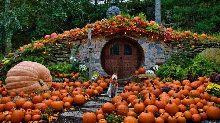 Ultimate Guide: America’s Best Pumpkin Patches for Fun-Filled Family Fall Activities