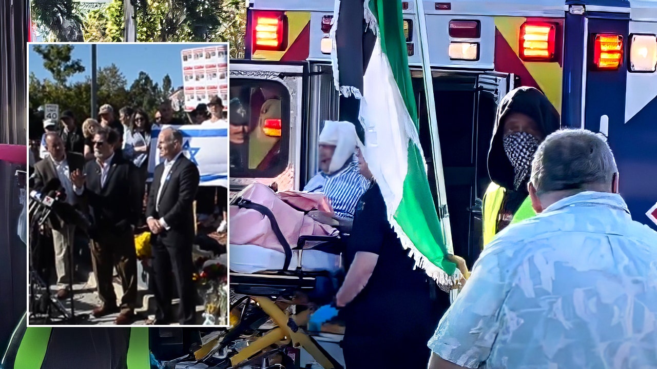 Pro-Palestinian protester 'tried to bait' elderly Jewish man before fatal altercation, witness says