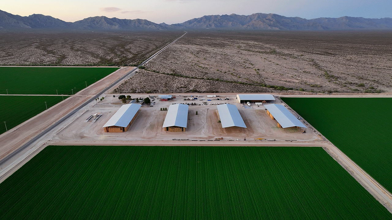 Arizona farms face water crisis as drought depletes aquifers