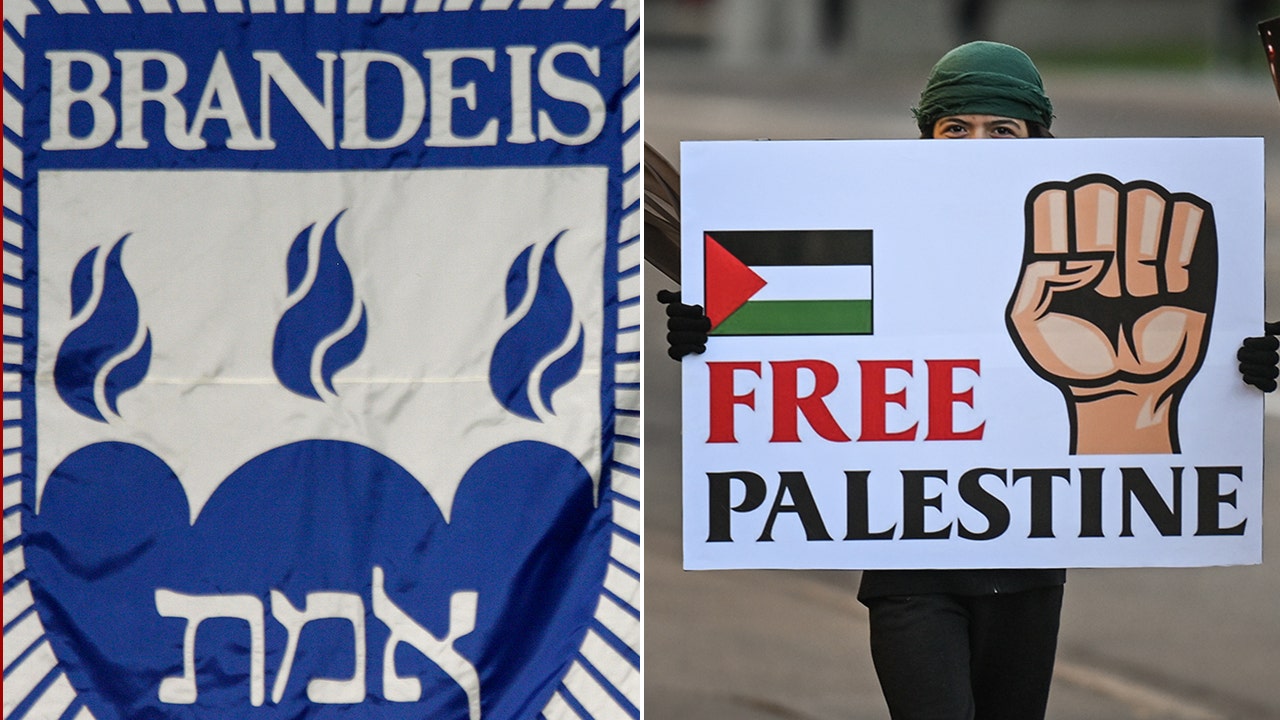 Brandeis' ejection of pro-Palestinian student group draws mixed reactions: 'What are we doing now?'