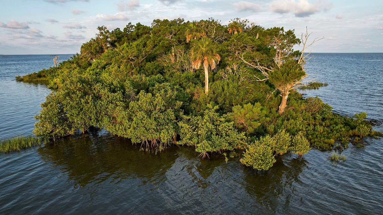 Sweetheart Island in Florida