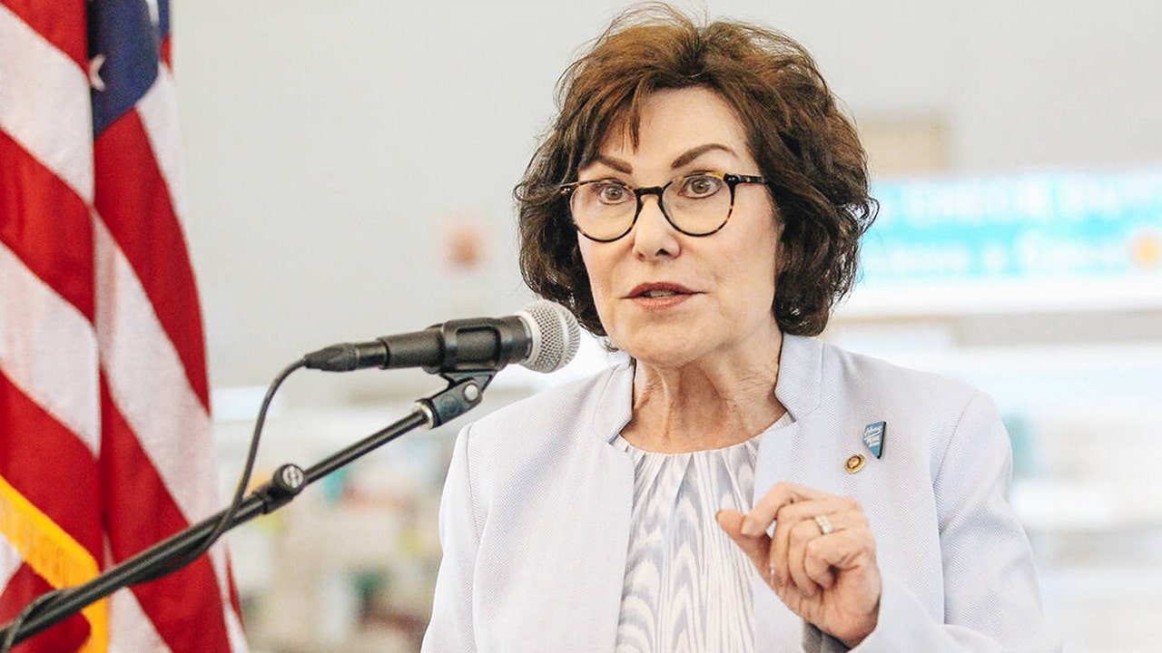 Read more about the article Jacky Rosen swiftly scores Nevada Democratic Senate nod ahead of ‘toss up’ election