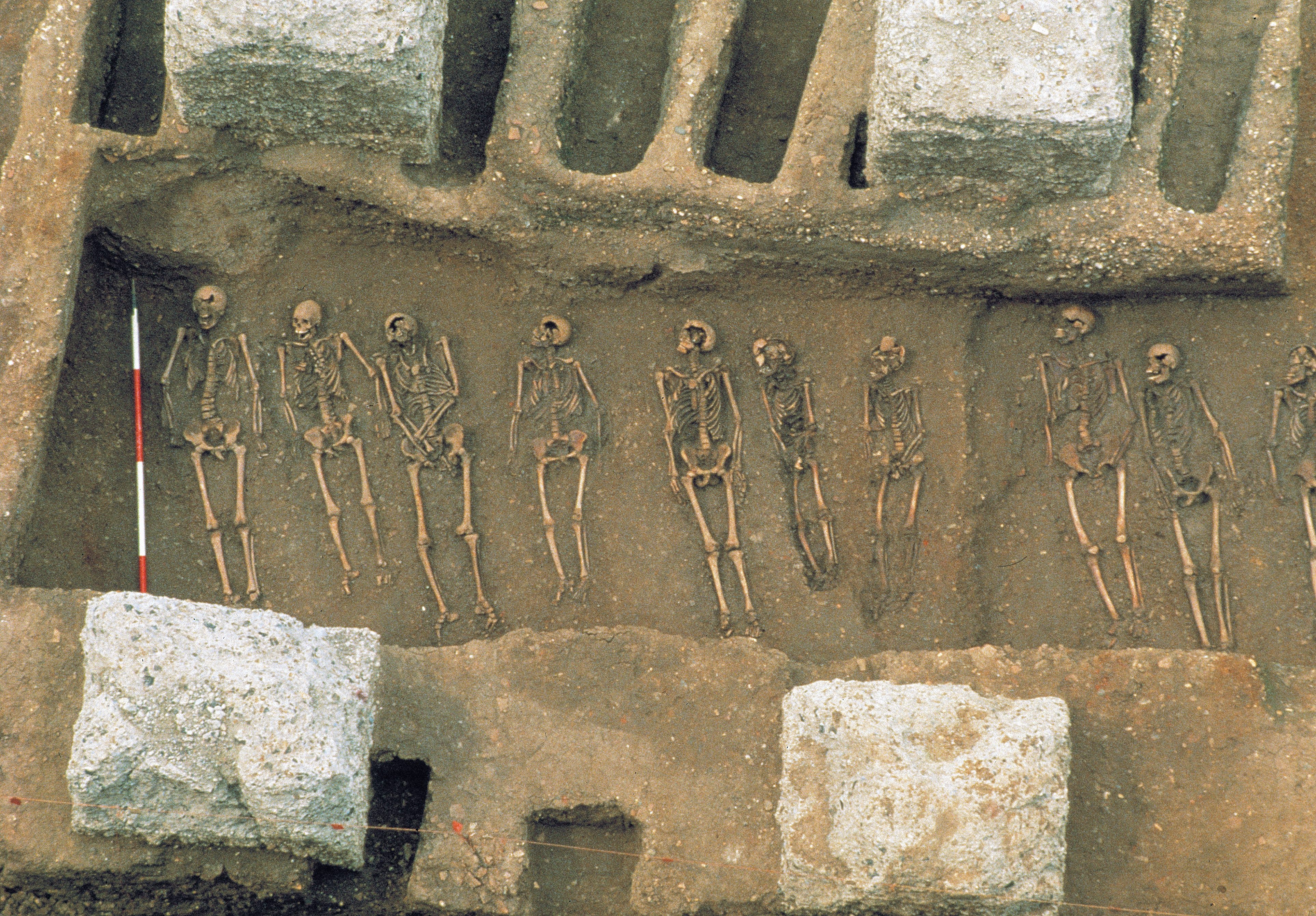 Black women most likely to die during mediaeval plague: study