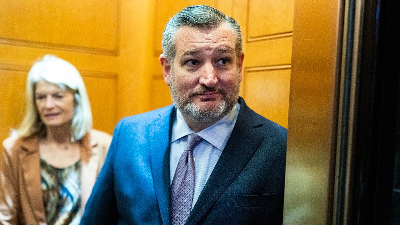 Cruz keeps 2028 door open as speculation grows over GOP's post-Trump future Cruz keeps 2028 door open as speculation grows over GOP's post-Trump future