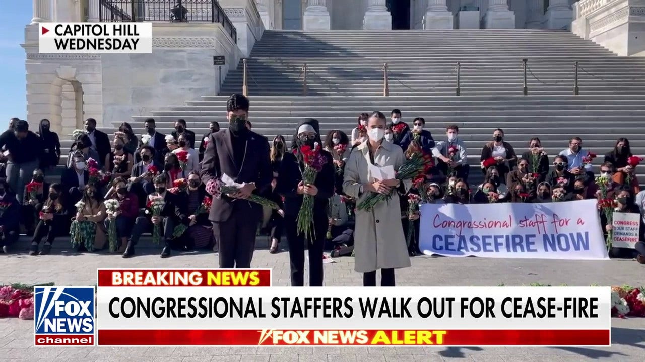 Democratic staffers revolt over bosses in Congress 'not listening' to constituents on Israel: Report