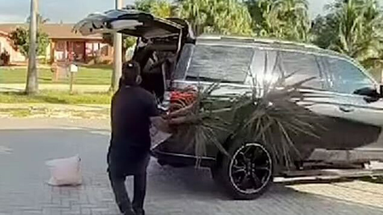 Watch: 'Shameless' Miami thief take off with woman's patio furniture in broad daylight