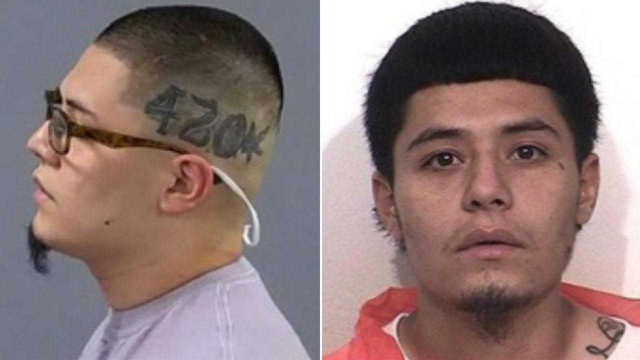 California man with '420' tattoo on head allegedly decapitates relative, flees with head