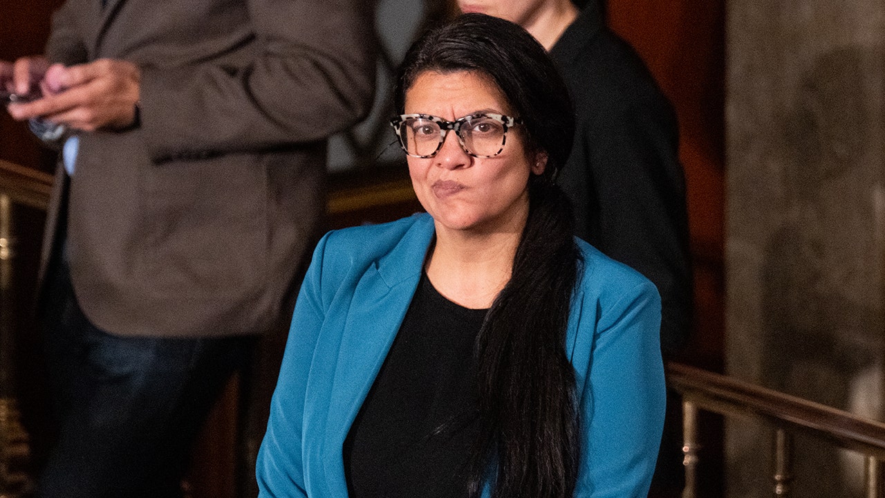 Squad member Tlaib proposes pilot program to pay some homeless people ,400 per month for 3 years